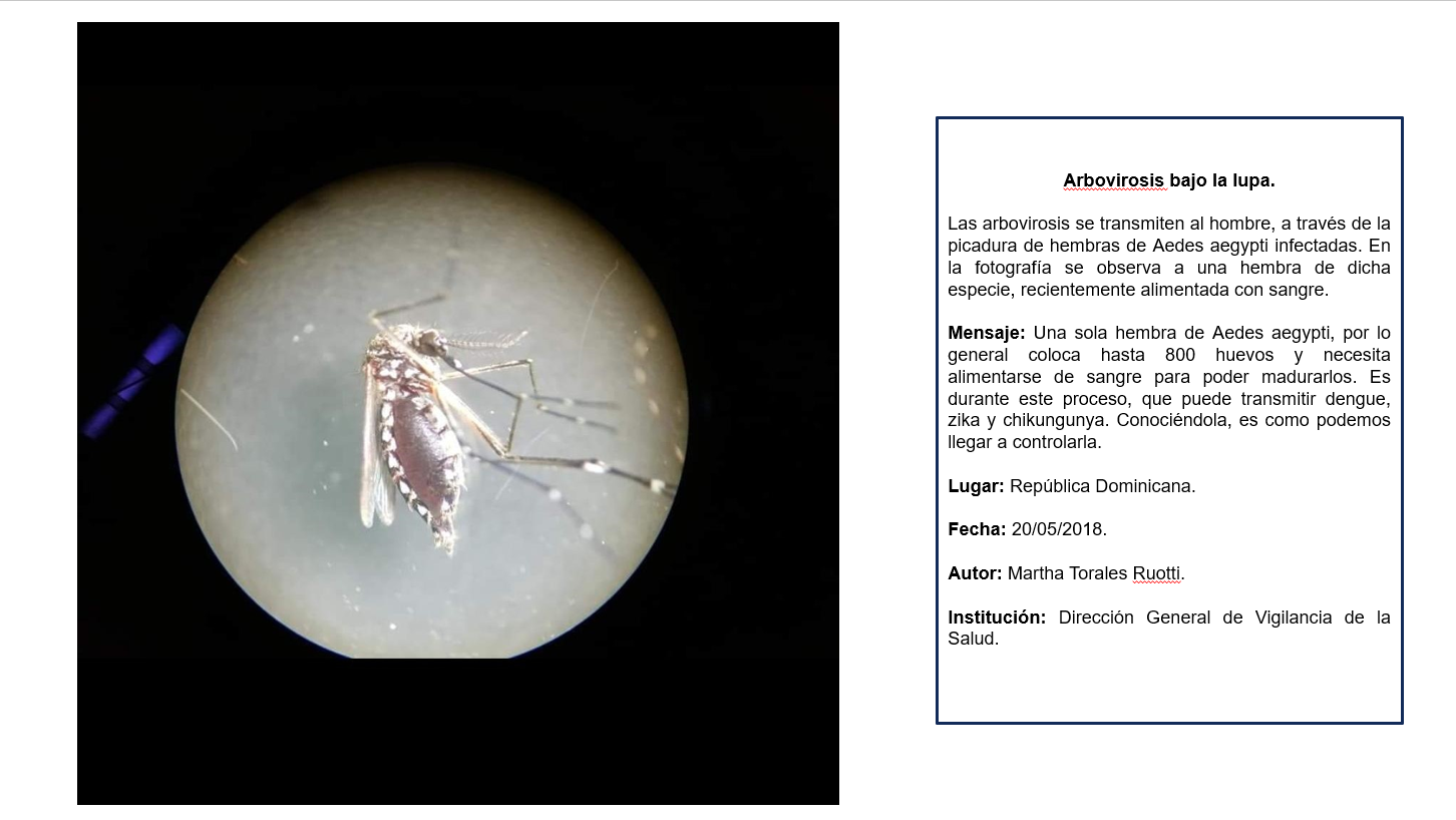 Muestra Nacional de epidemiología